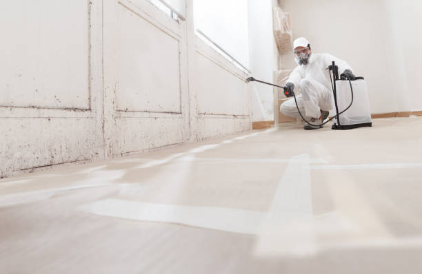24/7 Emergency Mold Inspection experts in Frankfort, KY