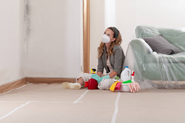 Reliable Mold Inspection contractor in Frankfort, KY by WQB Mold Removal